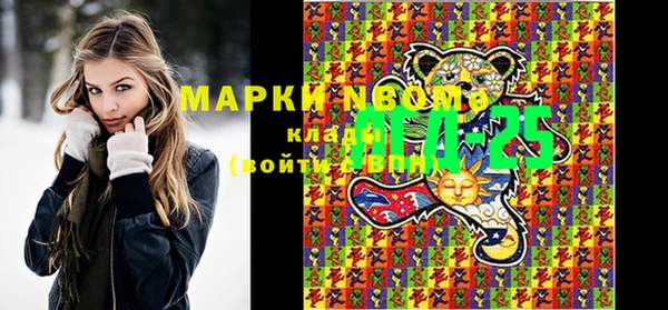 ПСИЛОЦИБИНОВЫЕ ГРИБЫ Баксан