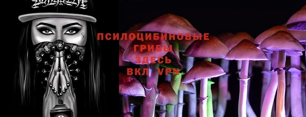 МДПВ Белокуриха