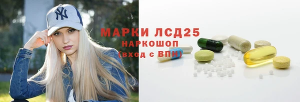 индика Переславль-Залесский