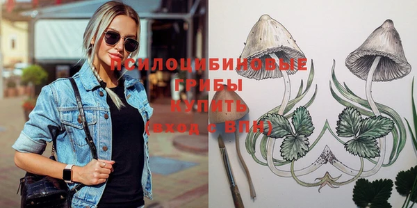 ПСИЛОЦИБИНОВЫЕ ГРИБЫ Баксан
