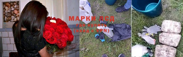 ПСИЛОЦИБИНОВЫЕ ГРИБЫ Балабаново