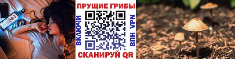 даркнет сайт  Красноперекопск  МЕГА маркетплейс  Псилоцибиновые грибы прущие грибы 